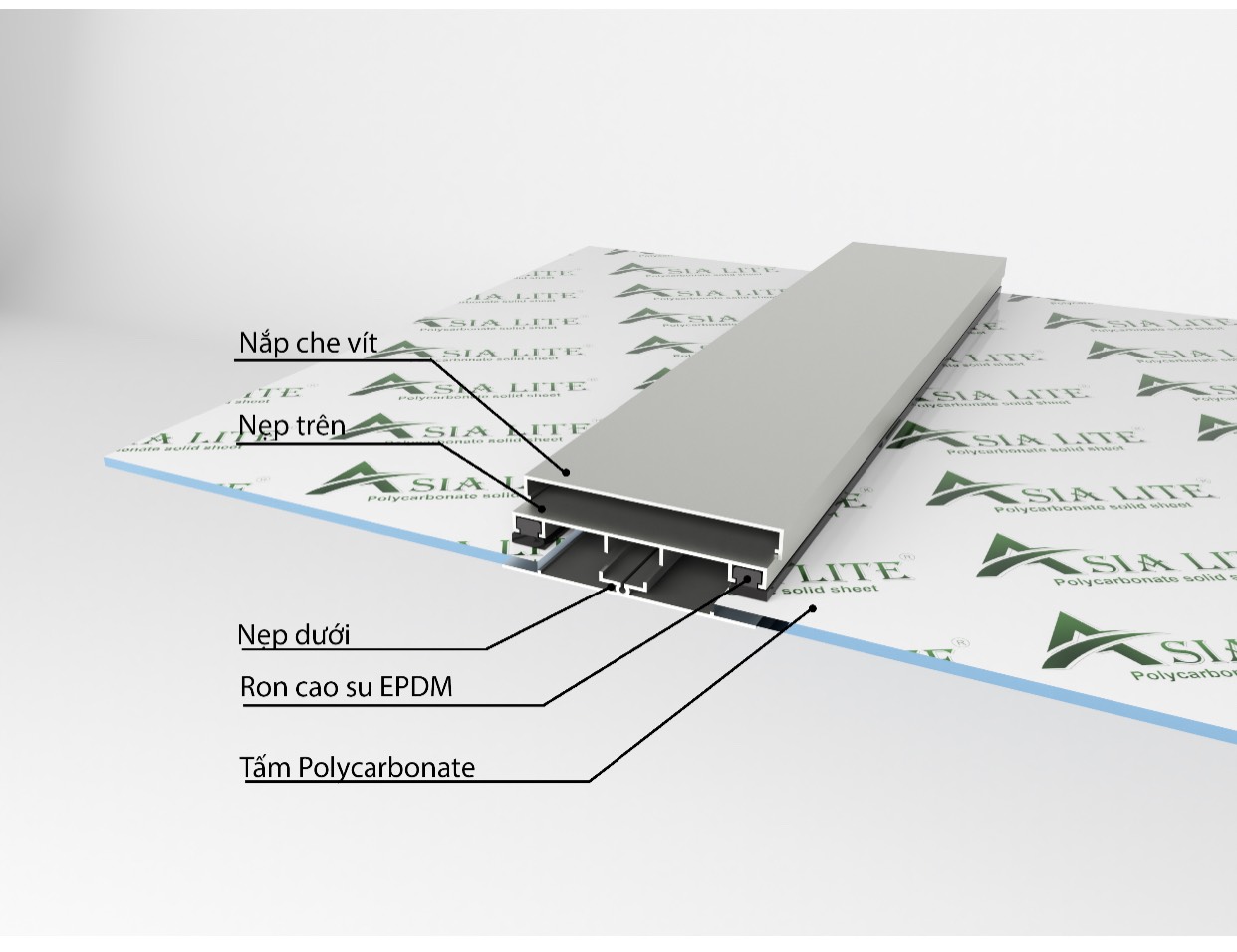 c407ee32d7b512eb4ba4