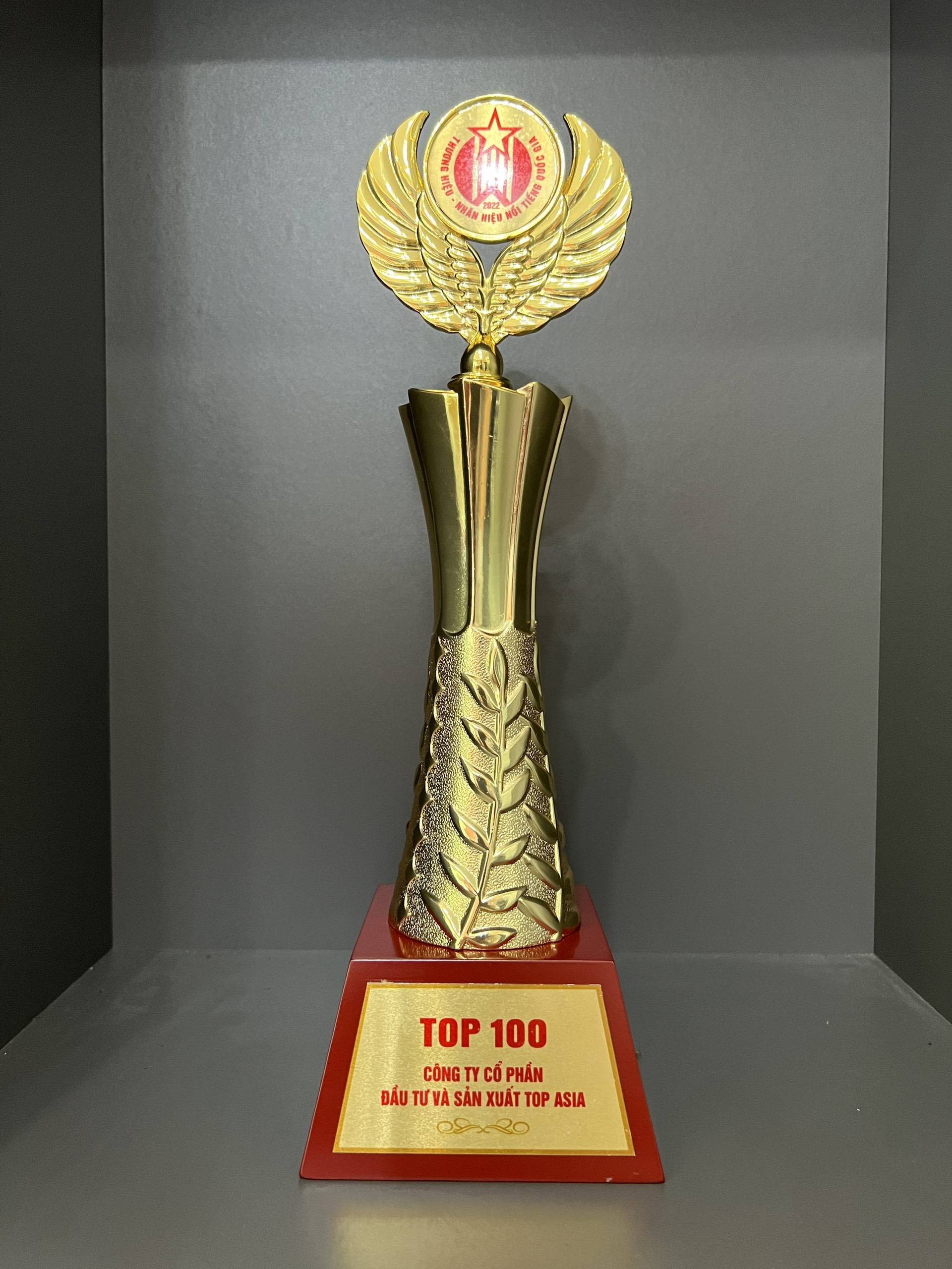 TẤM NHỰA KÍNH CƯỜNG LỰC ASIA LITE - TOP 100 THƯƠNG HIỆU - NHÃN HIỆU NỔI TIẾNG QUỐC GIA 2022 TOP 100 Thương hiệu - Nhãn hiệu nổi tiếng quốc gia 2022