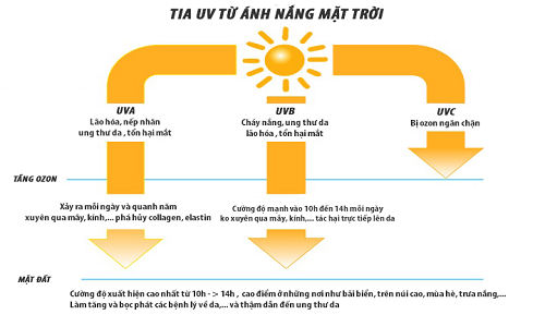 Những loại tia UV thẩm thấu tiếp xúc với cơ thể
