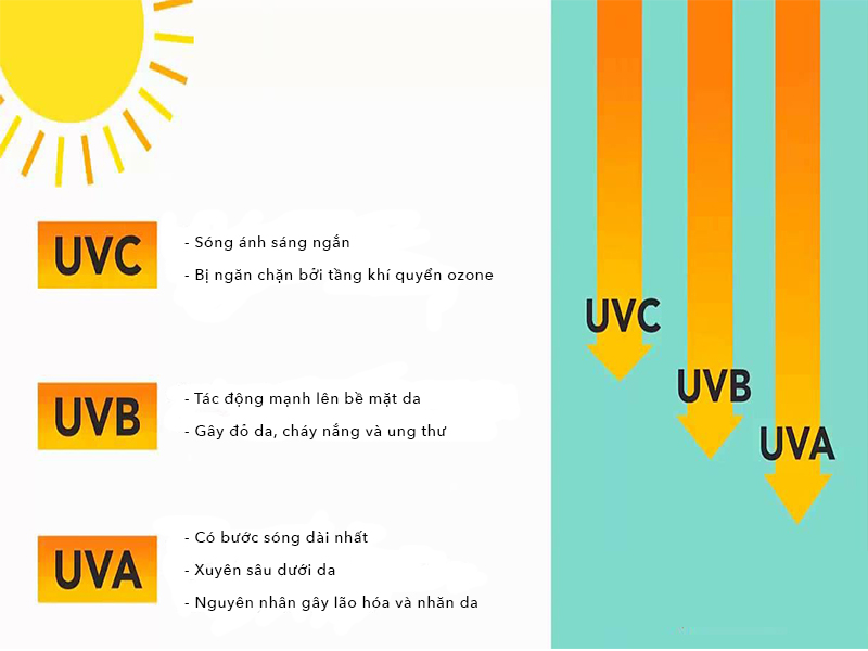 Tia UV và ảnh hưởng của nó đối với sức khỏe con người | Tấm polycarbonate cường lực Asia Lite phủ UV Tác hại của tia UV đối với cơ thể con người