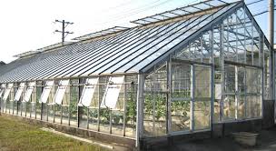Tấm lợp Polycarbonate Top Asia: Giải pháp thay thế hoàn hảo cho ngói và tôn truyền thống images 2