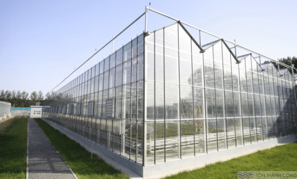 Tấm Polycarbonate đặc ruột Top Asia: Giải pháp xây dựng bền vững, thẩm mỹ và tiết kiệm Nhà kính lấy sáng hiệu quả với tấm poly trong suốt
