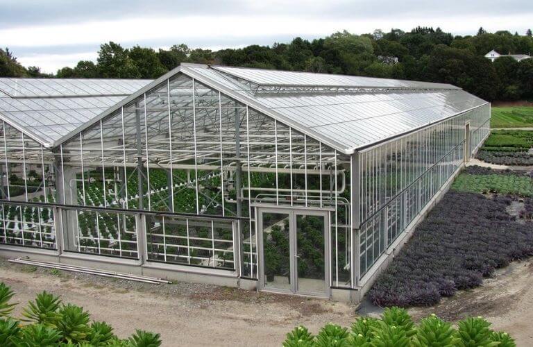 Tấm Nhựa Chống Va Đập: Giải Pháp Hoàn Hảo Cho Công Trình Bền Vững 2024 Nhà kính làm từ tấm polycarbonate đặc ruột