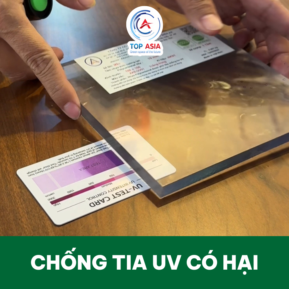 Vật liệu làm mái che sân bóng đá – Giải pháp tấm nhựa polycarbonate cường lực bền 15–20 năm Tấm lợp polycarbonate Top Asia với nhiều ưu điểm vượt trội - Vật liệu làm mái che sân bóng đá hiện đại