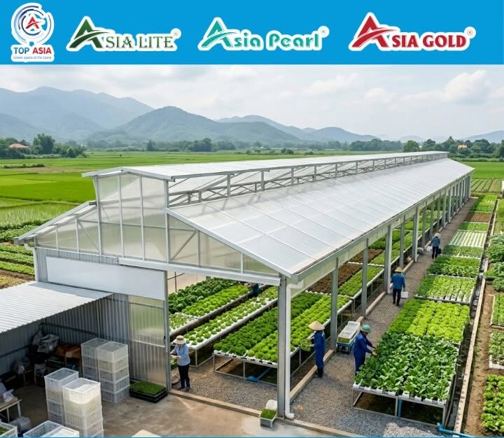 Tấm Lợp Chống Dột, Chống Ăn Mòn: Giải Pháp Bảo Vệ Toàn Diện Cho Công Trình